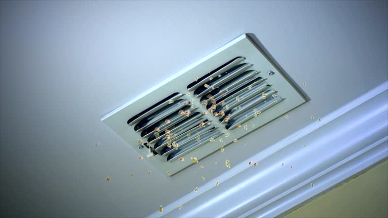 Best Emergency Air Duct Cleaning  in Pierce, NE