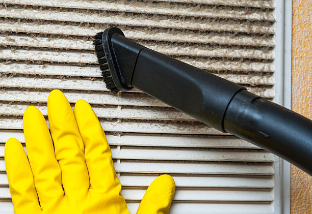 Best Duct Cleaning for Homes  in Pierce, NE